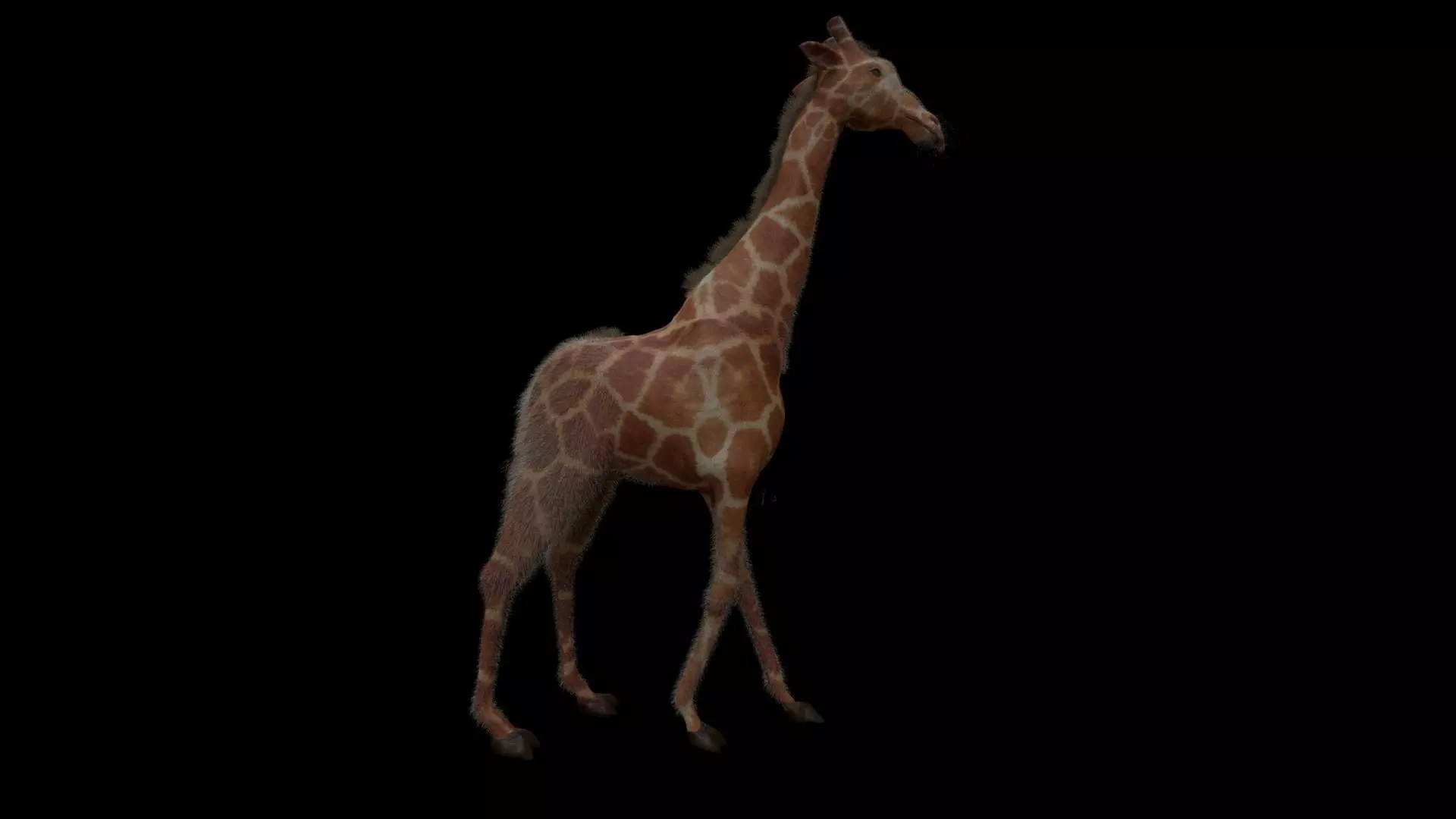 Giraffe 3D model_0