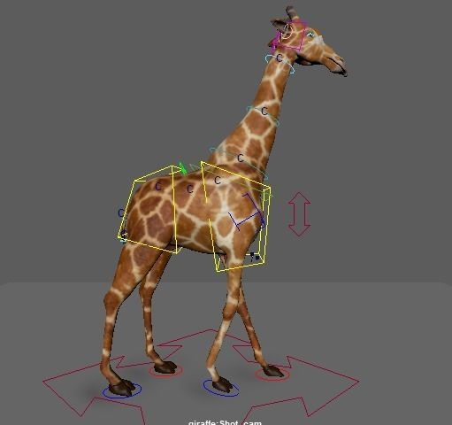 Giraffe 3D model_5