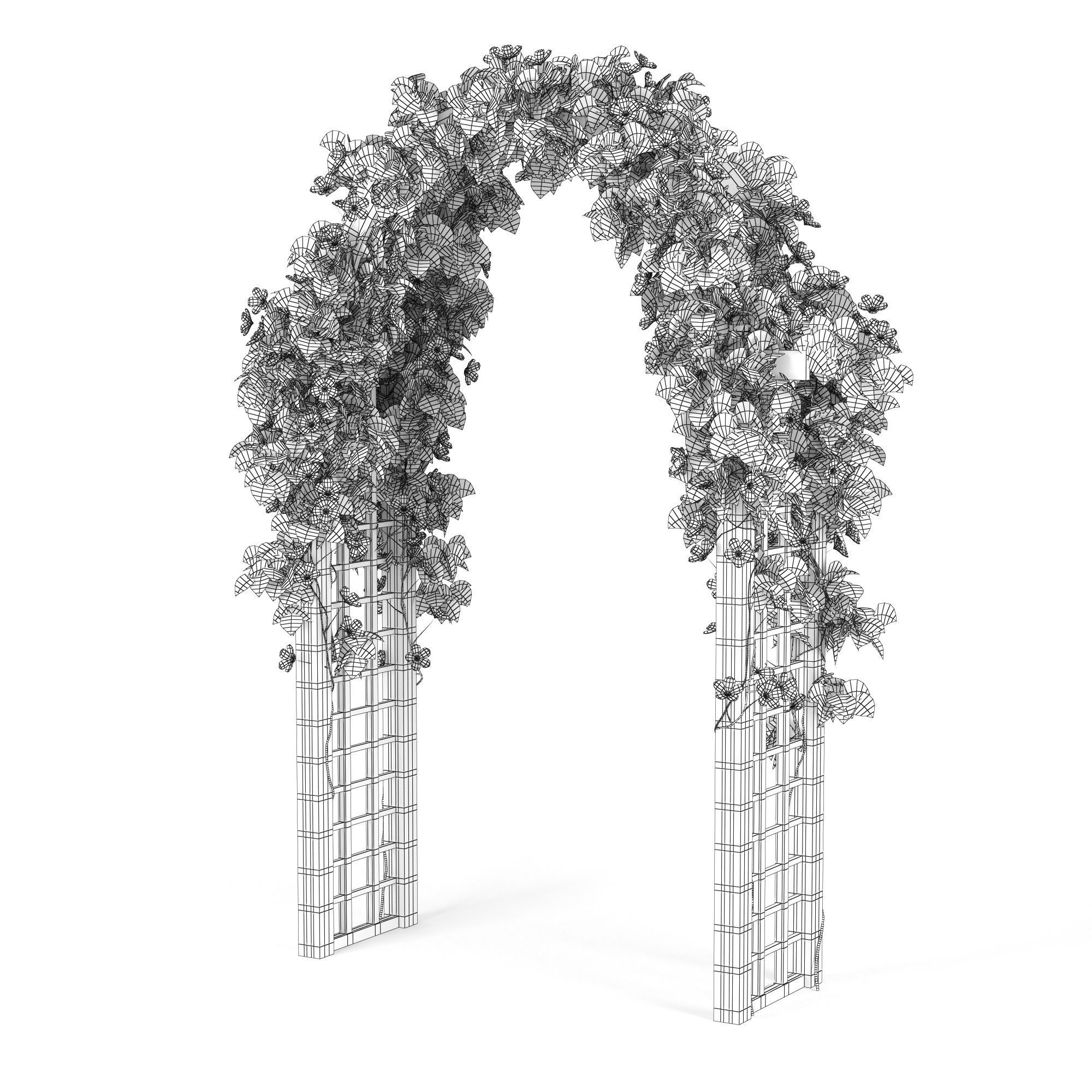 Convolvulus white flowers 3D model_4