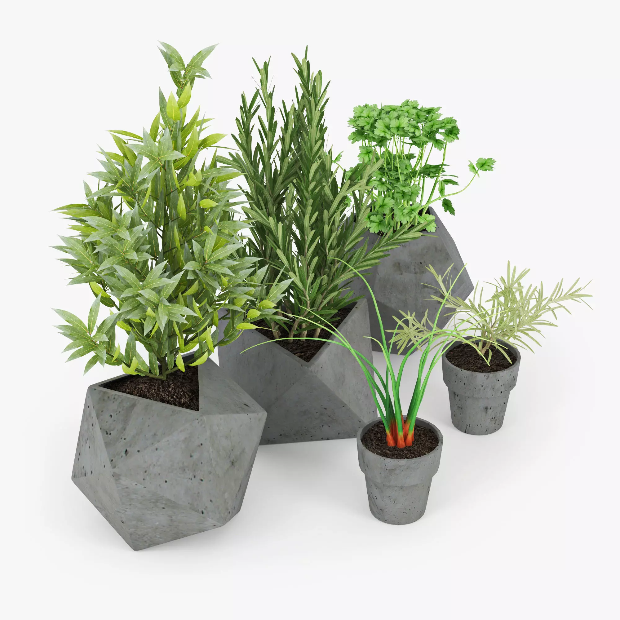 Concrete Kitchen Plants 3D model_0