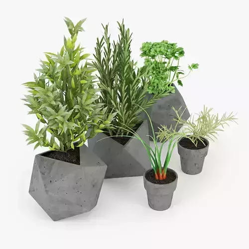 Concrete Kitchen Plants 3D model