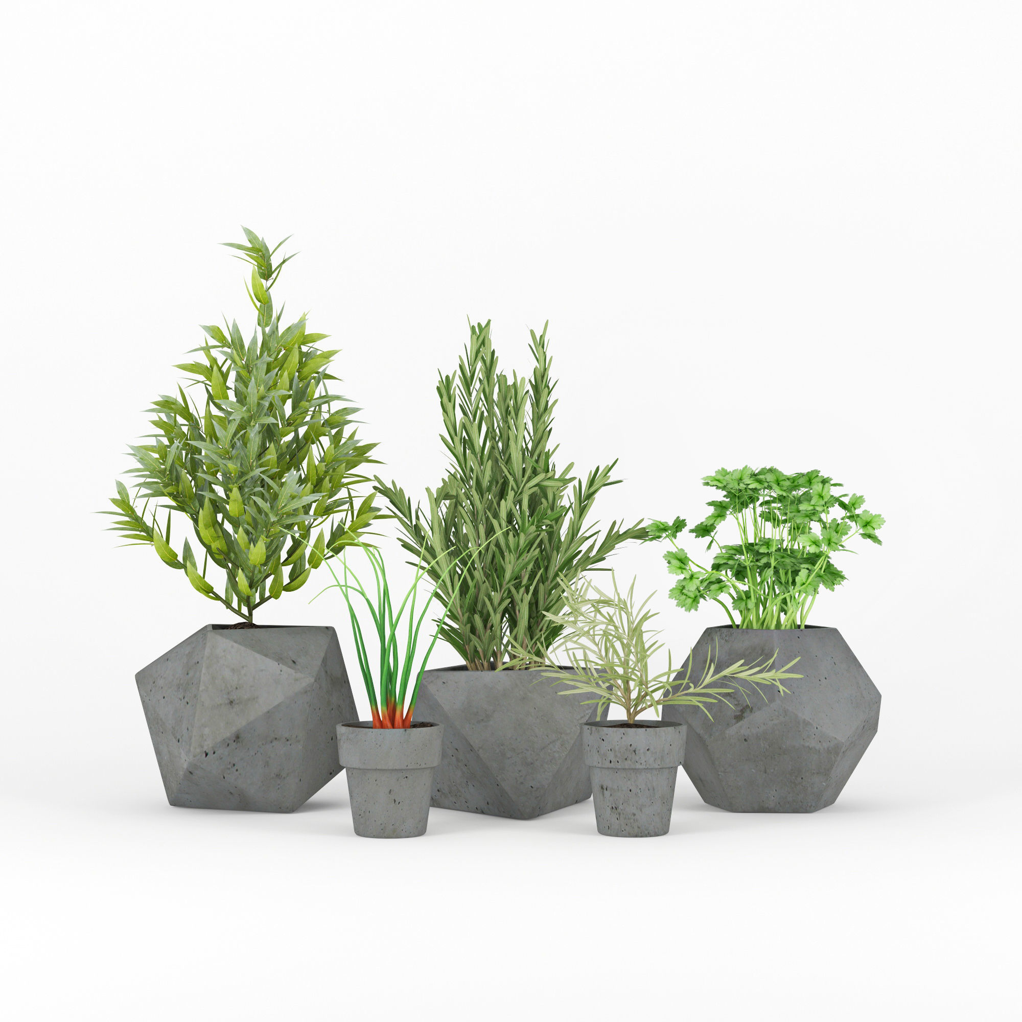 Concrete Kitchen Plants 3D model_2