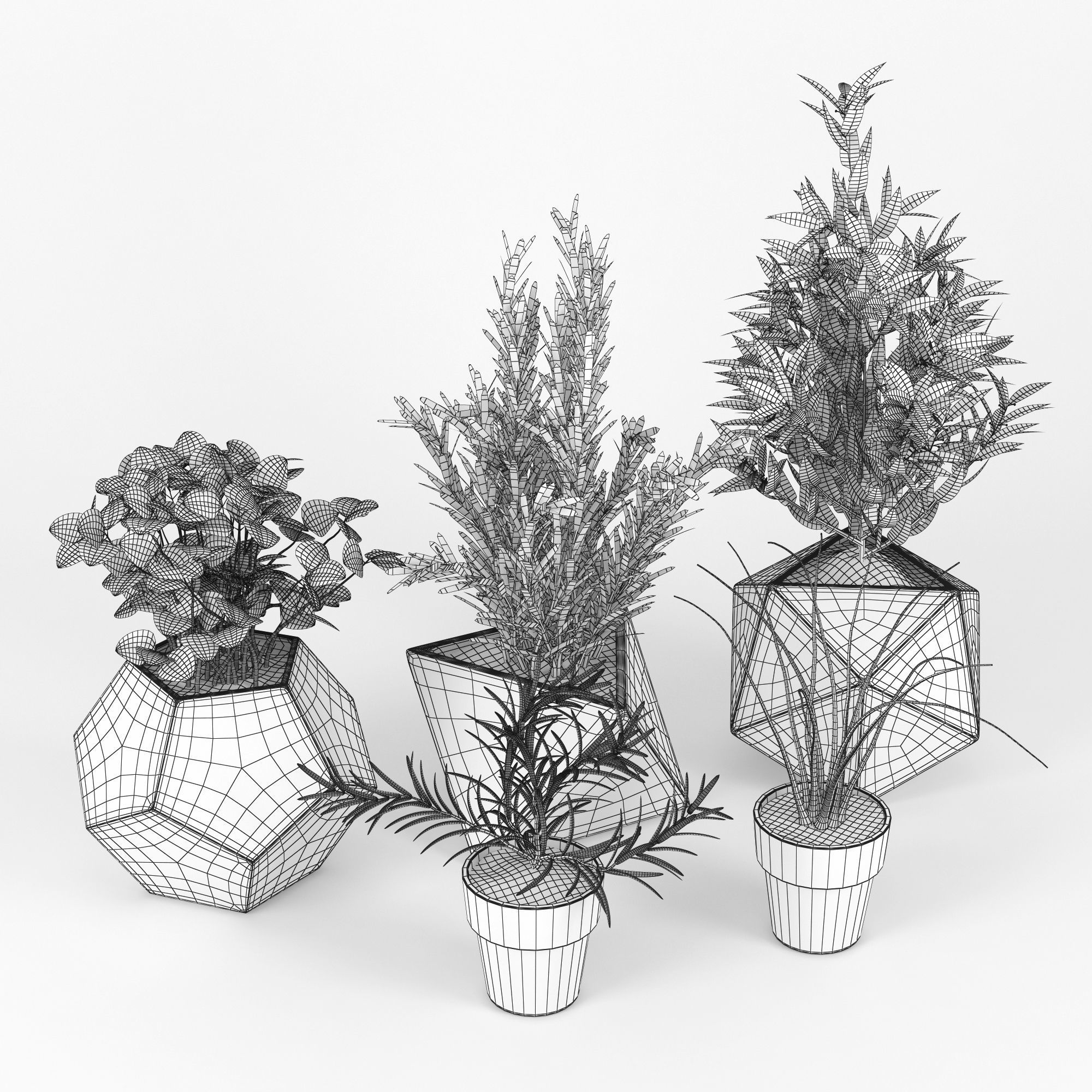 Concrete Kitchen Plants 3D model_7