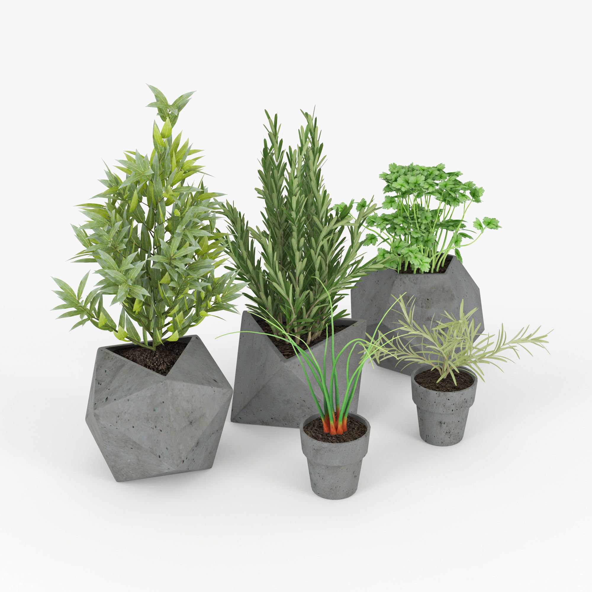 Concrete Kitchen Plants 3D model_1