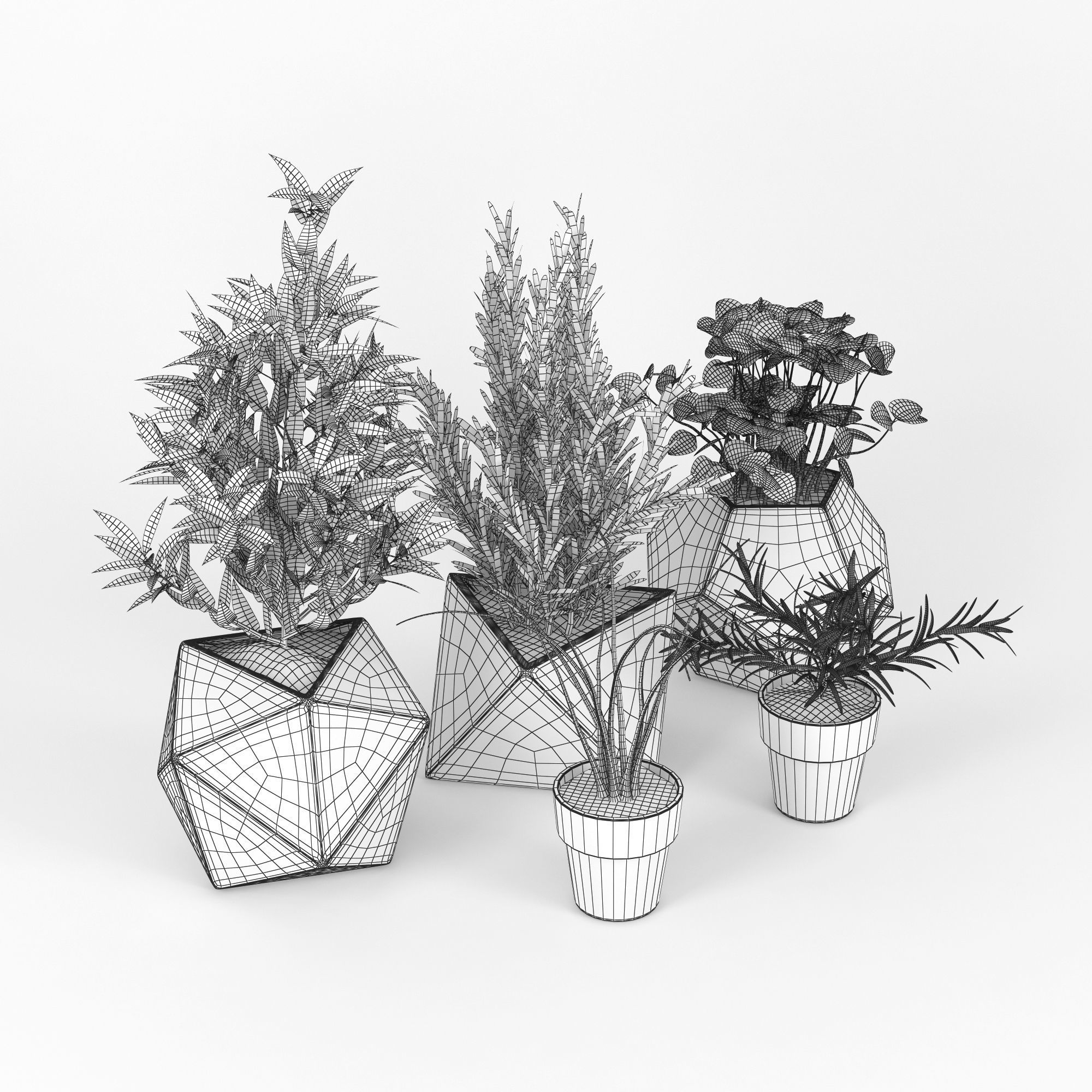 Concrete Kitchen Plants 3D model_8