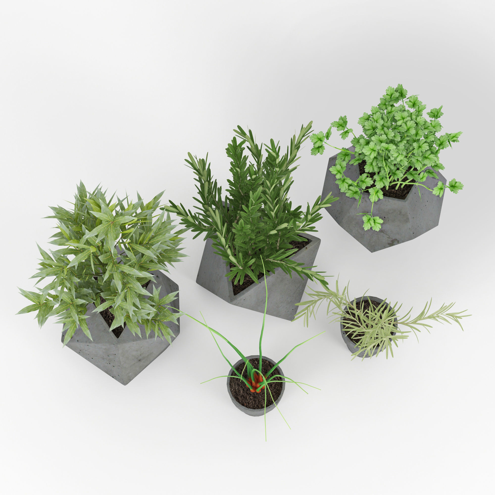 Concrete Kitchen Plants 3D model_4
