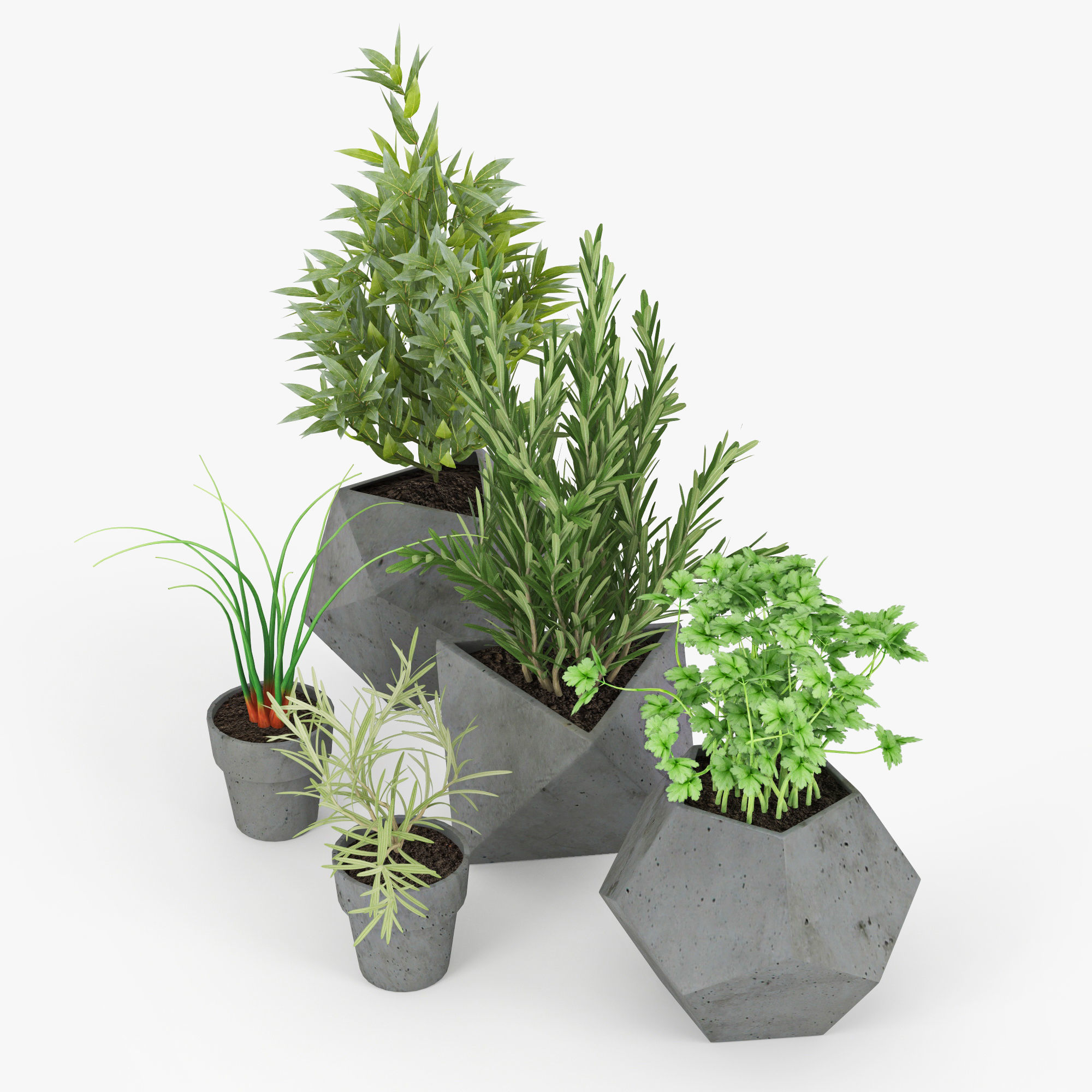 Concrete Kitchen Plants 3D model_5