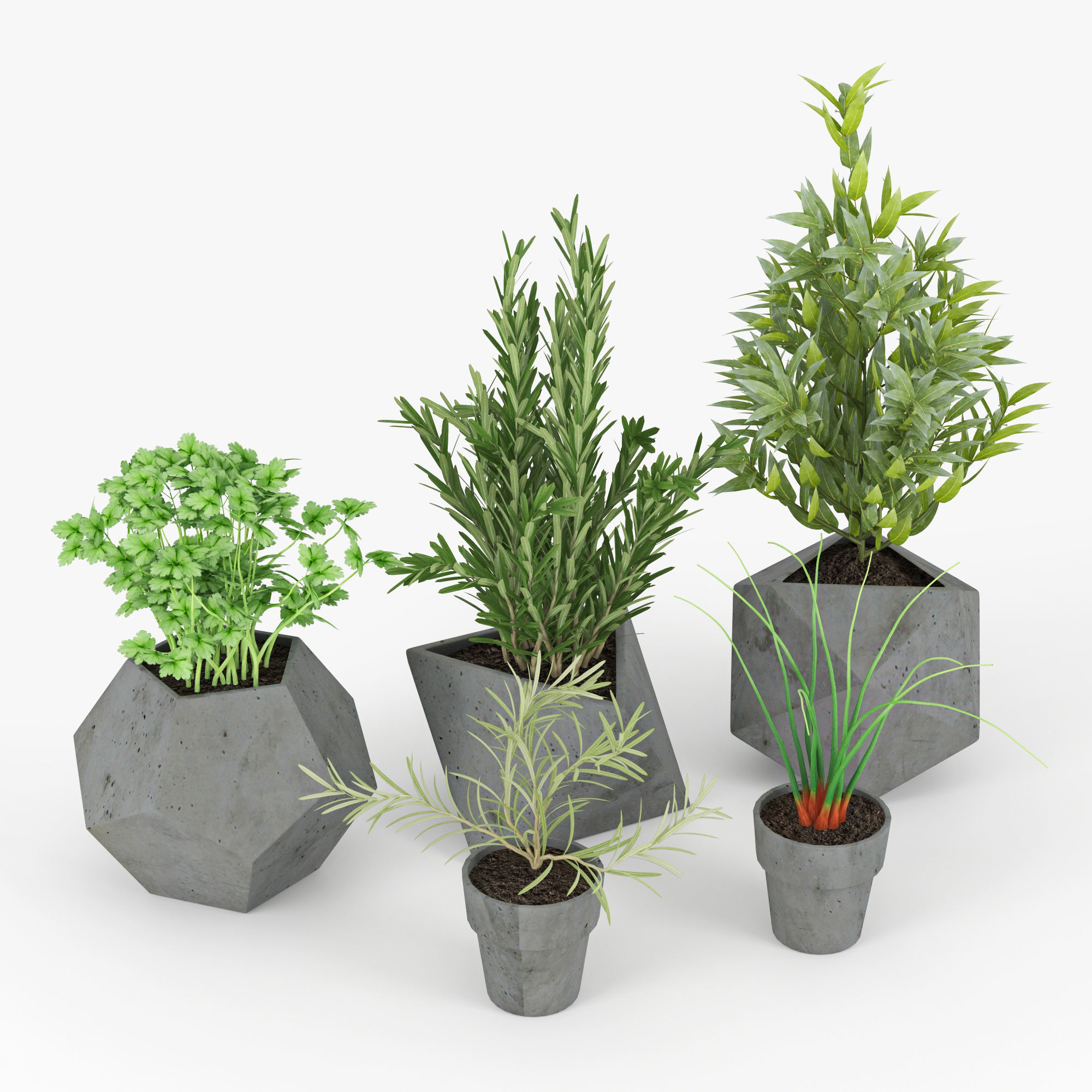 Concrete Kitchen Plants 3D model_3