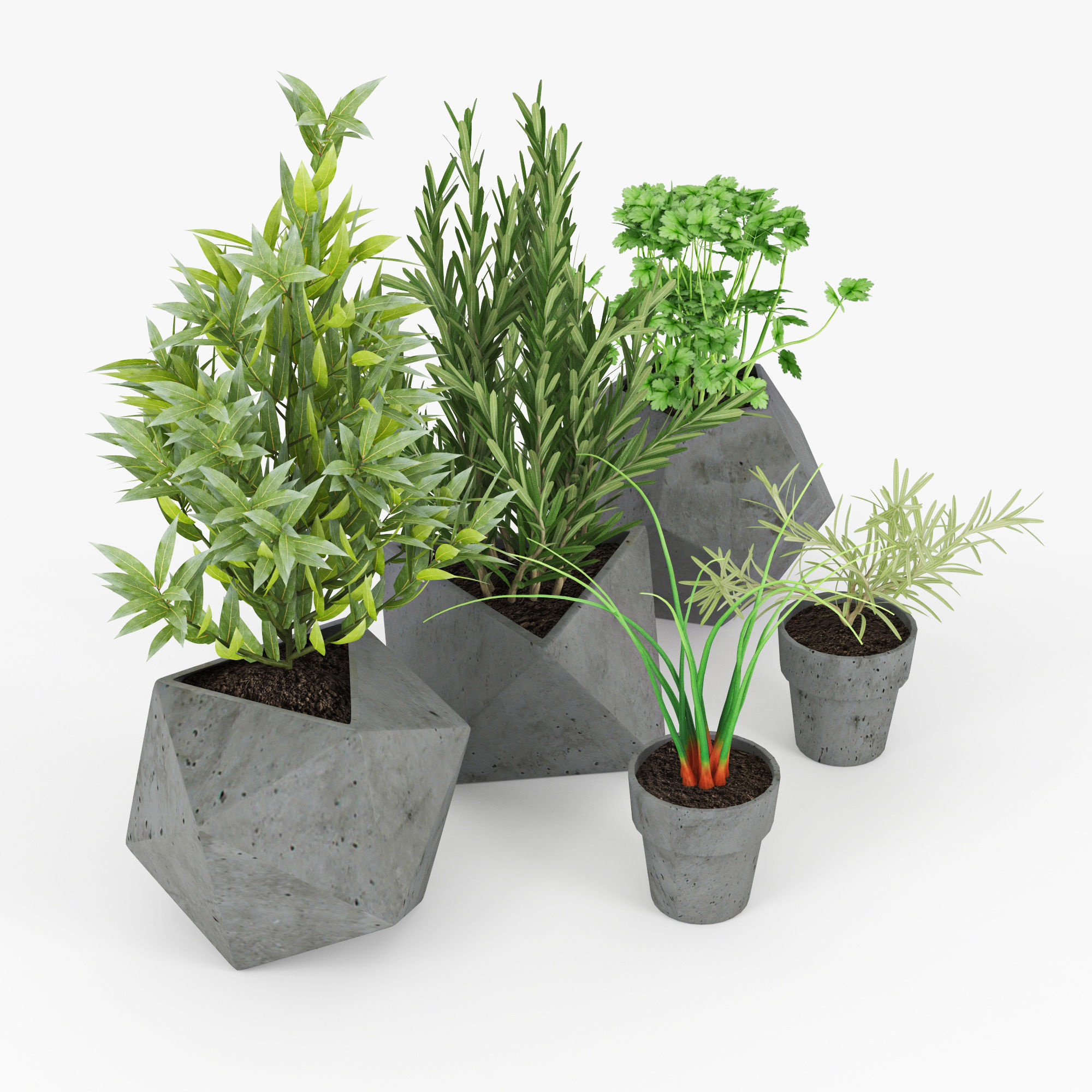 Concrete Kitchen Plants 3D model_6