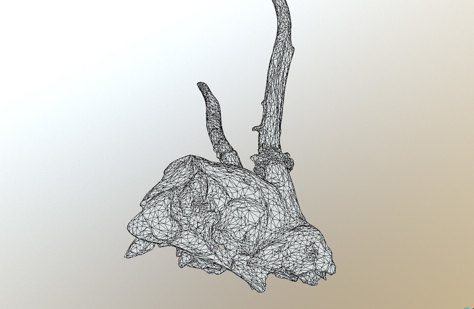 Scanned photorealistic broken roe dear skull with horns Low-poly 3D model_19