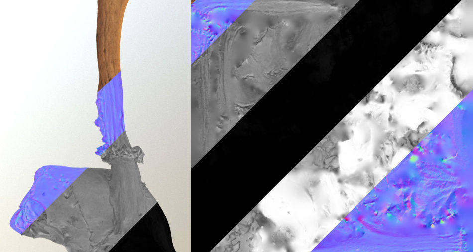 Scanned photorealistic broken roe dear skull with horns Low-poly 3D model_20