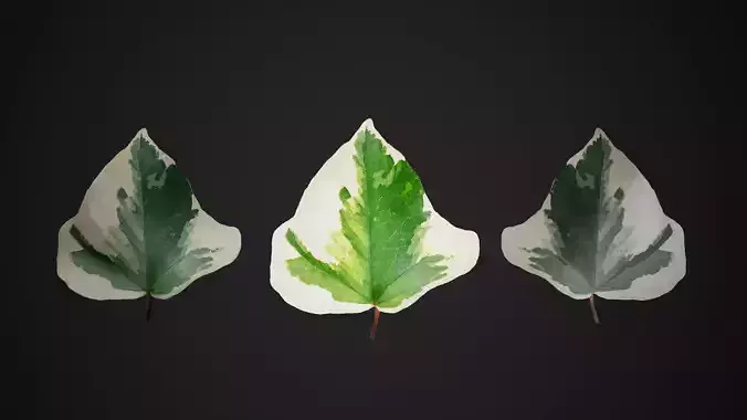 Leaf Pack Low-poly 3D model