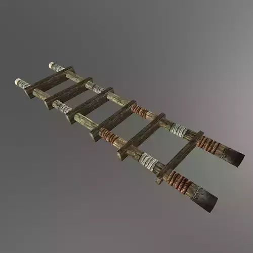 Medieval Wooden Stair