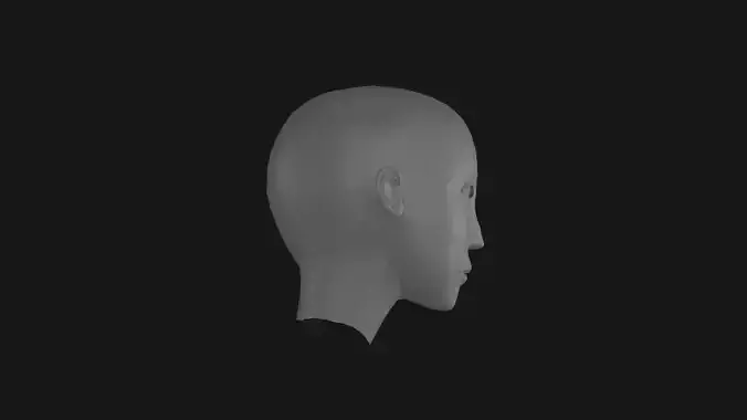 human head Low-poly 3D model