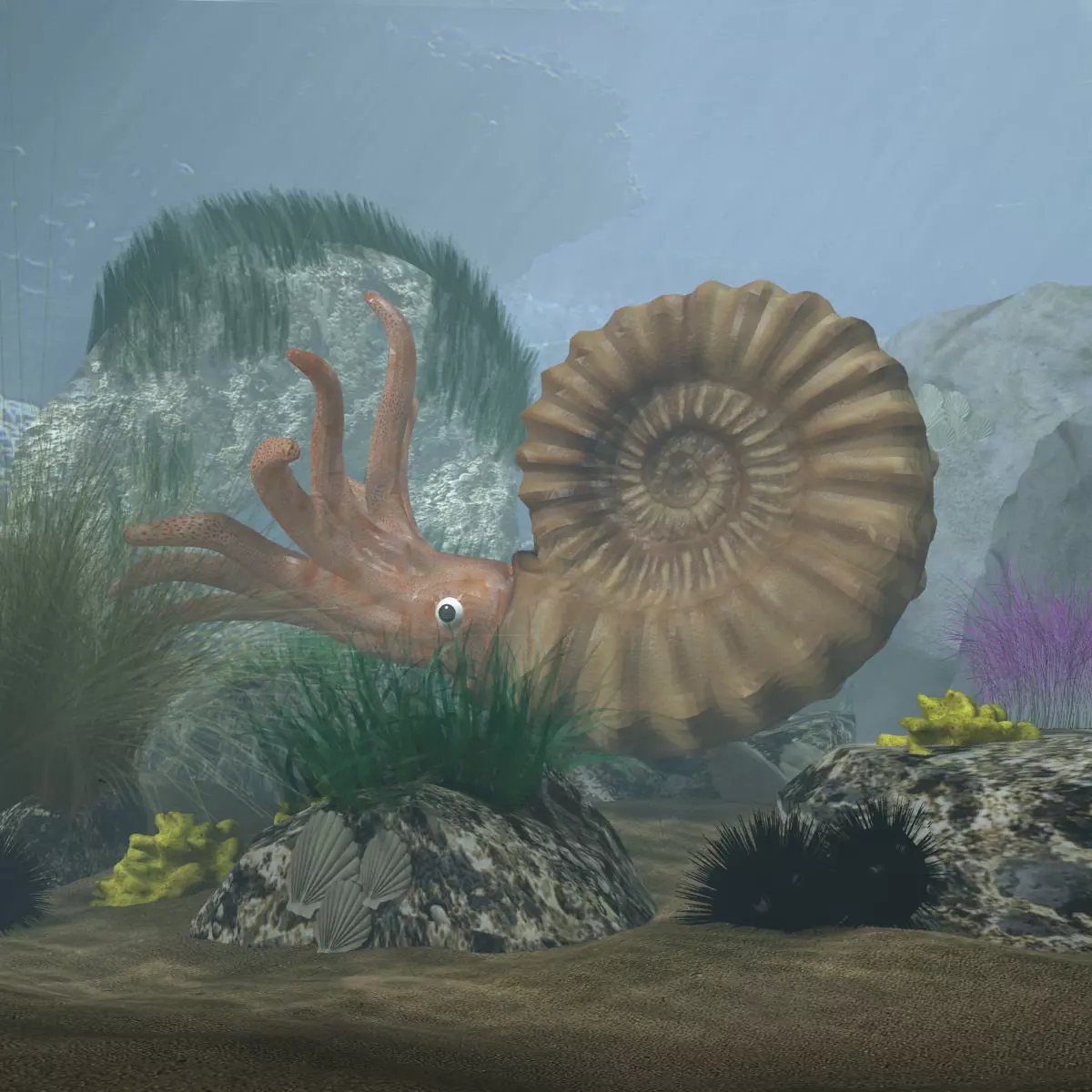 Ammonite with complete underwater scene Low-poly 3D model_0