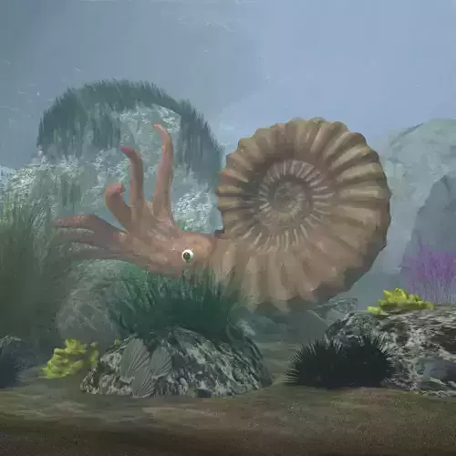 Ammonite with complete underwater scene Low-poly 3D model