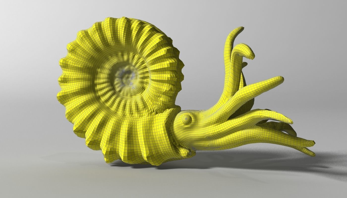 Ammonite with complete underwater scene Low-poly 3D model_7