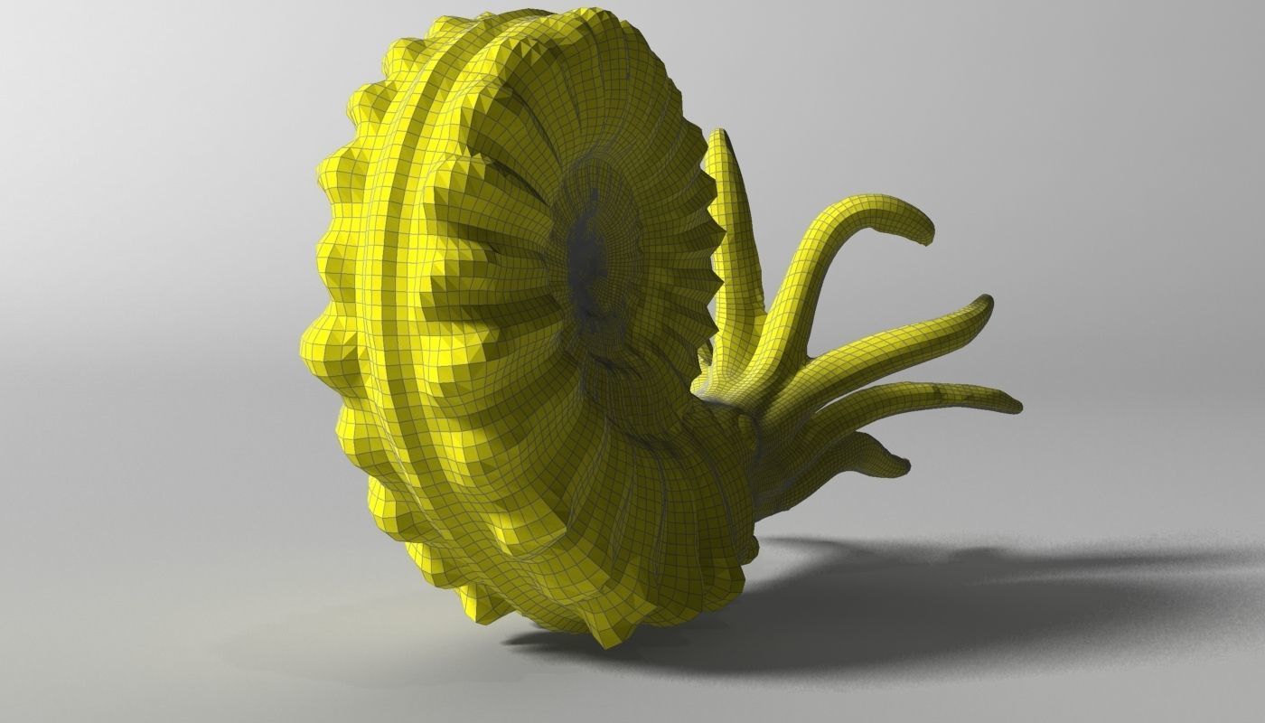 Ammonite with complete underwater scene Low-poly 3D model_6