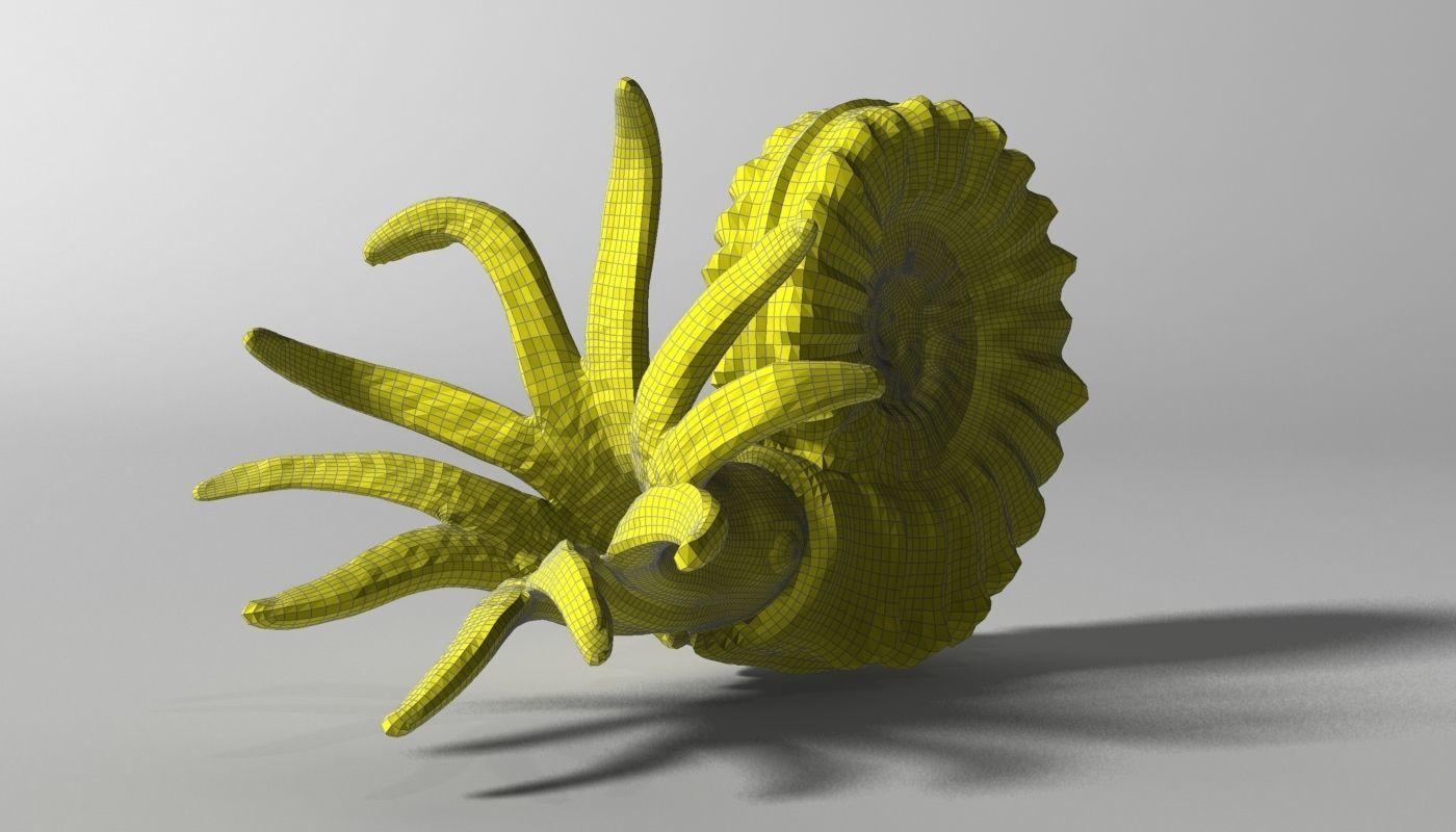 Ammonite with complete underwater scene Low-poly 3D model_5