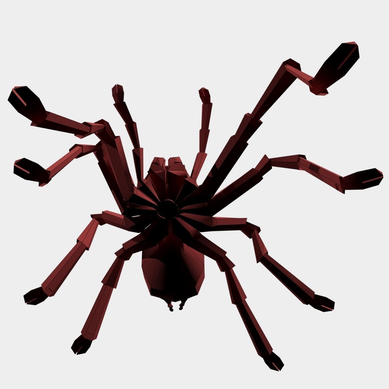 High Quality Tiger Rump Tarantula Low-poly 3D model_27