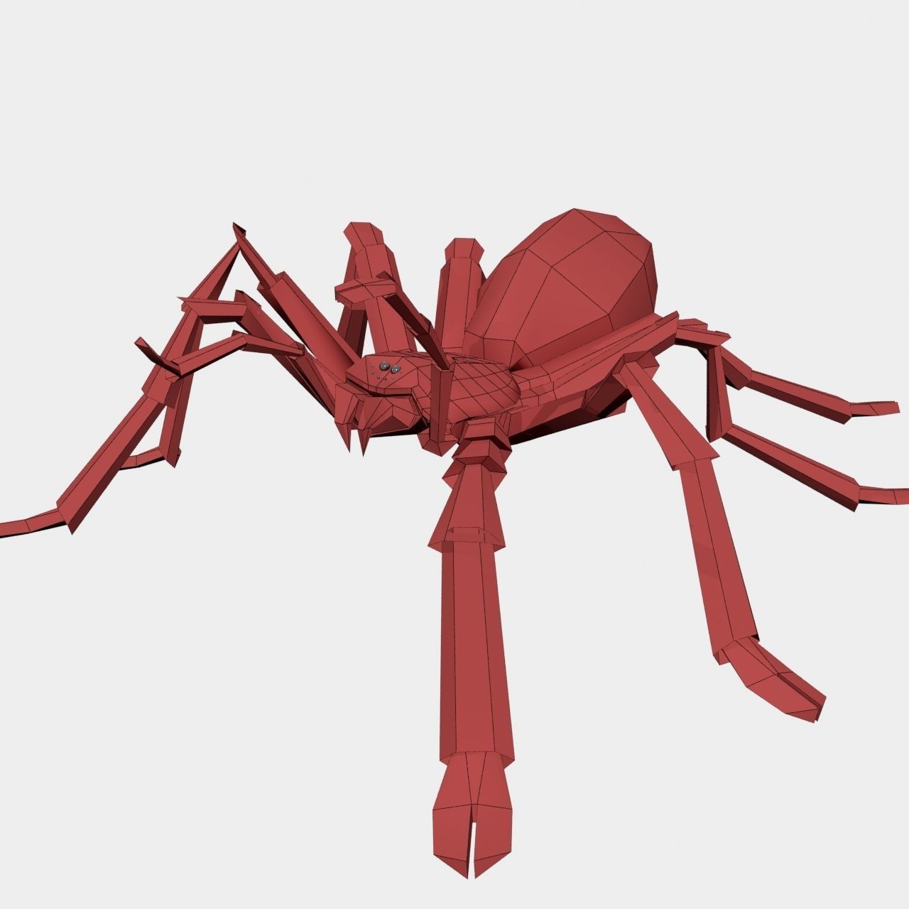 High Quality Tiger Rump Tarantula Low-poly 3D model_30