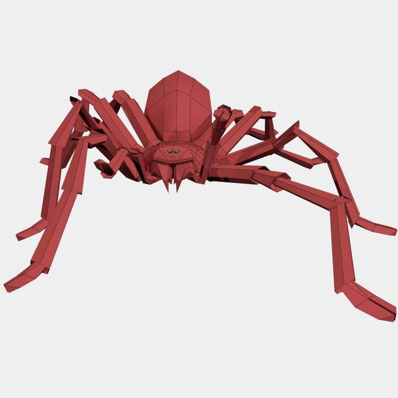 High Quality Tiger Rump Tarantula Low-poly 3D model_28