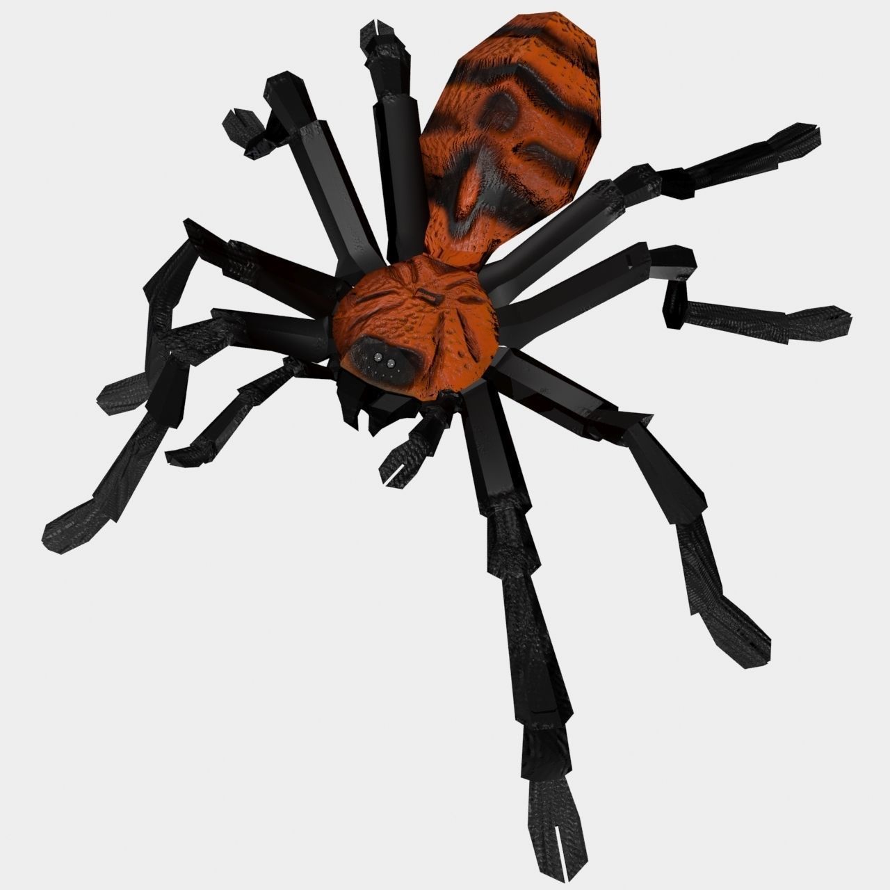 High Quality Tiger Rump Tarantula Low-poly 3D model_13
