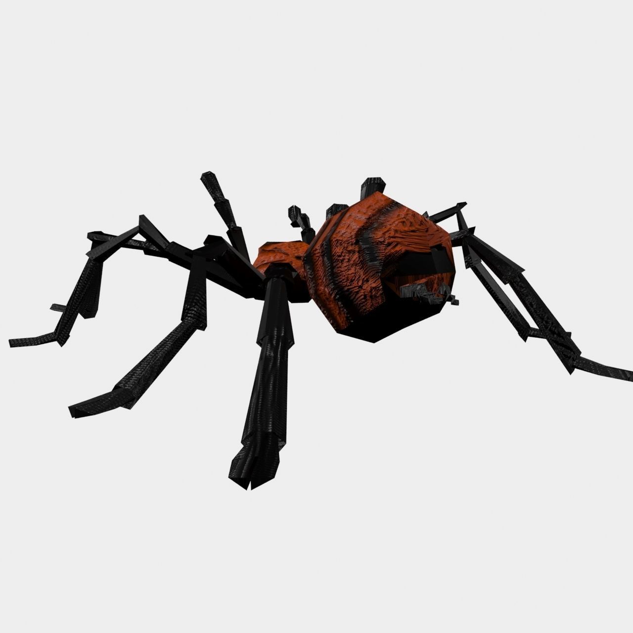 High Quality Tiger Rump Tarantula Low-poly 3D model_11