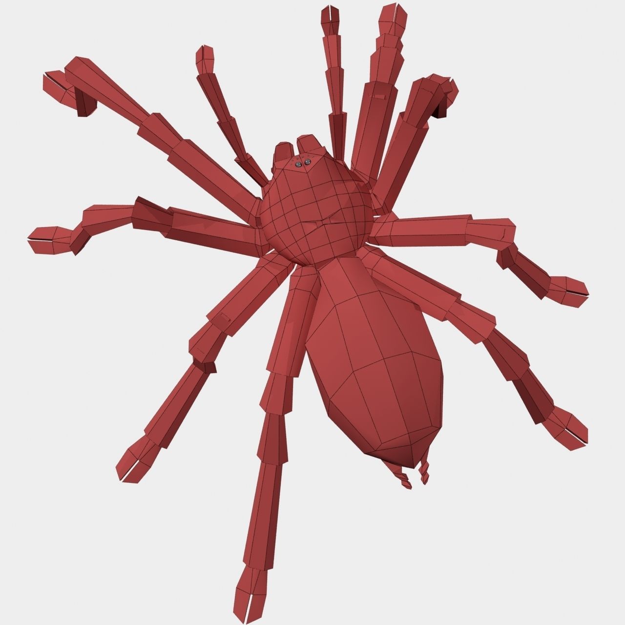 High Quality Tiger Rump Tarantula Low-poly 3D model_25