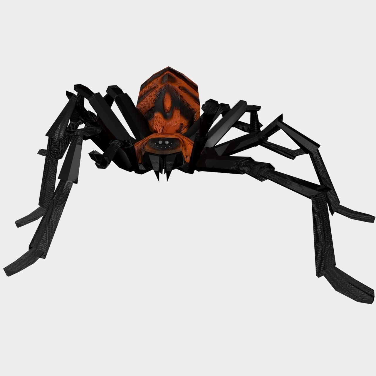 High Quality Tiger Rump Tarantula Low-poly 3D model_8