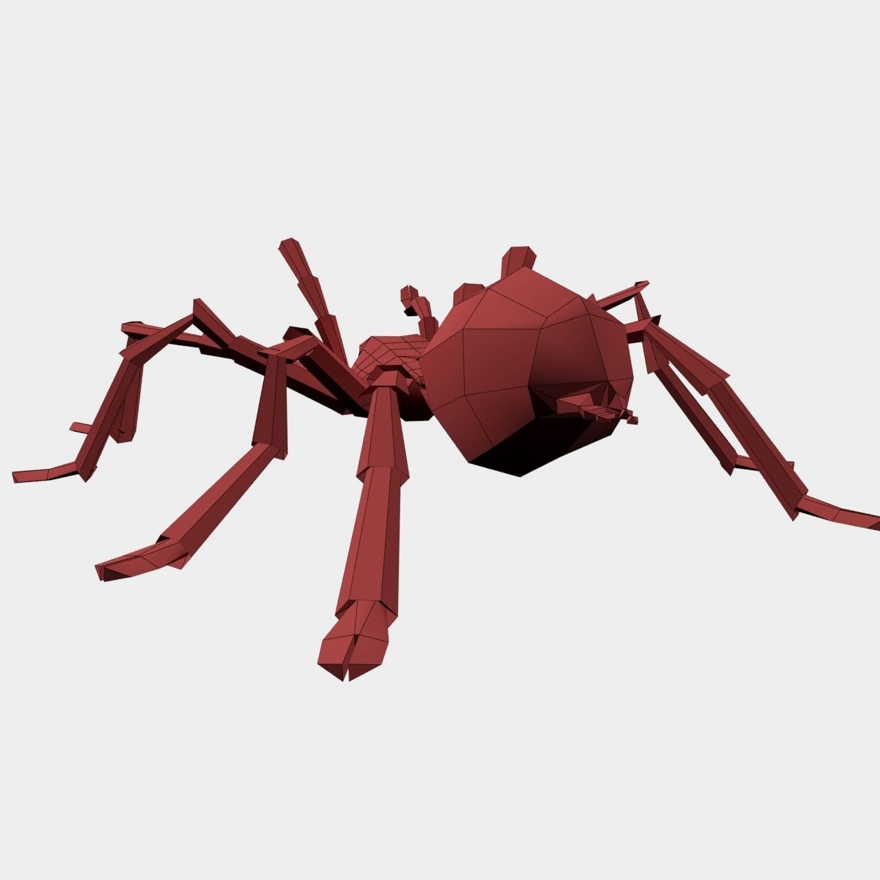 High Quality Tiger Rump Tarantula Low-poly 3D model_31