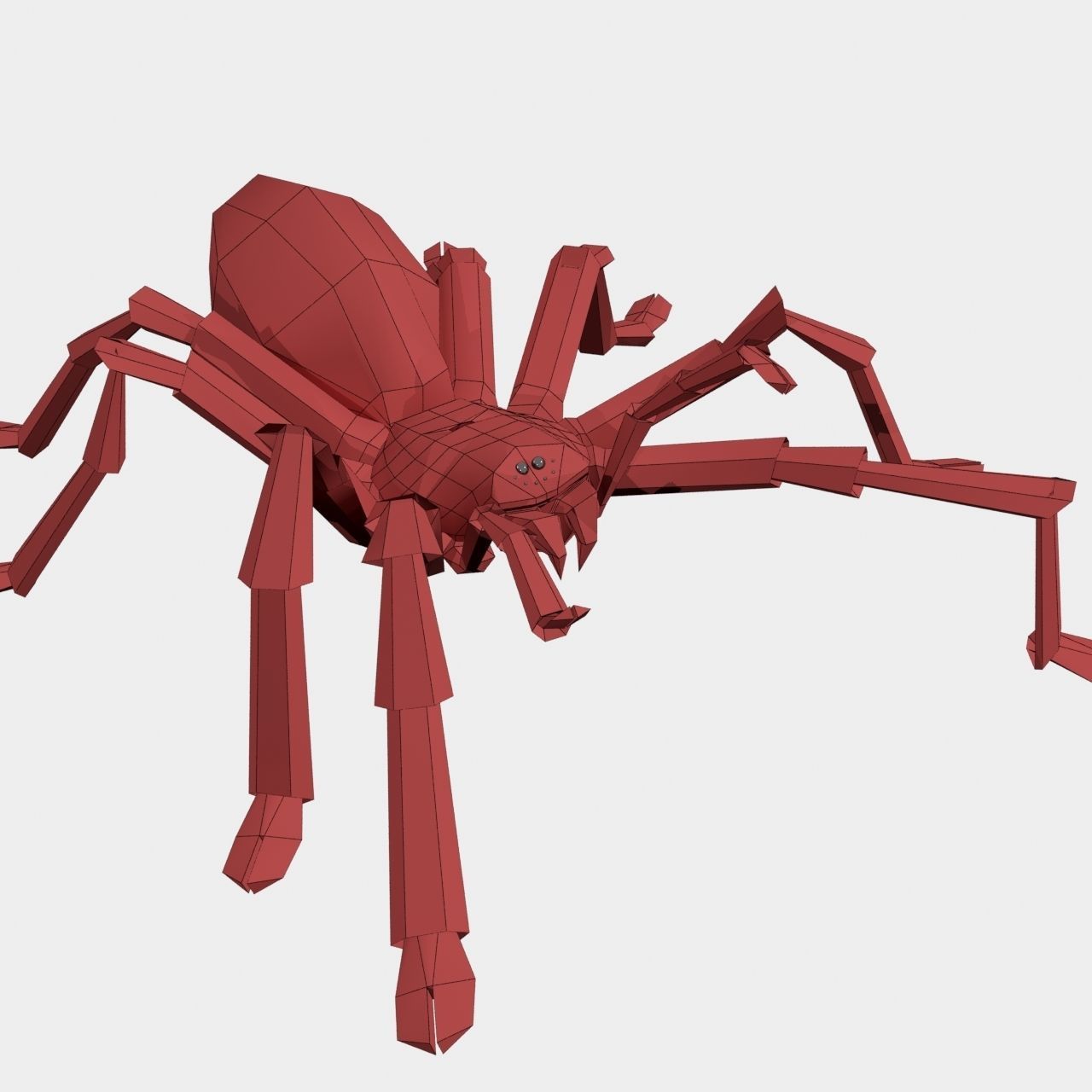 High Quality Tiger Rump Tarantula Low-poly 3D model_26