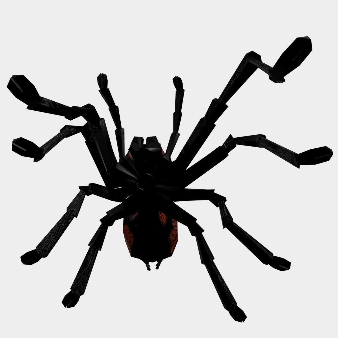 High Quality Tiger Rump Tarantula Low-poly 3D model_10