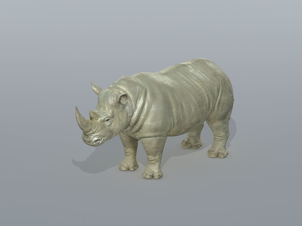 Rhinoceros Low-poly 3D model_2