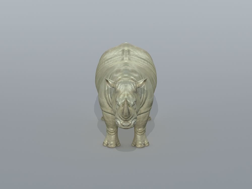 Rhinoceros Low-poly 3D model_4
