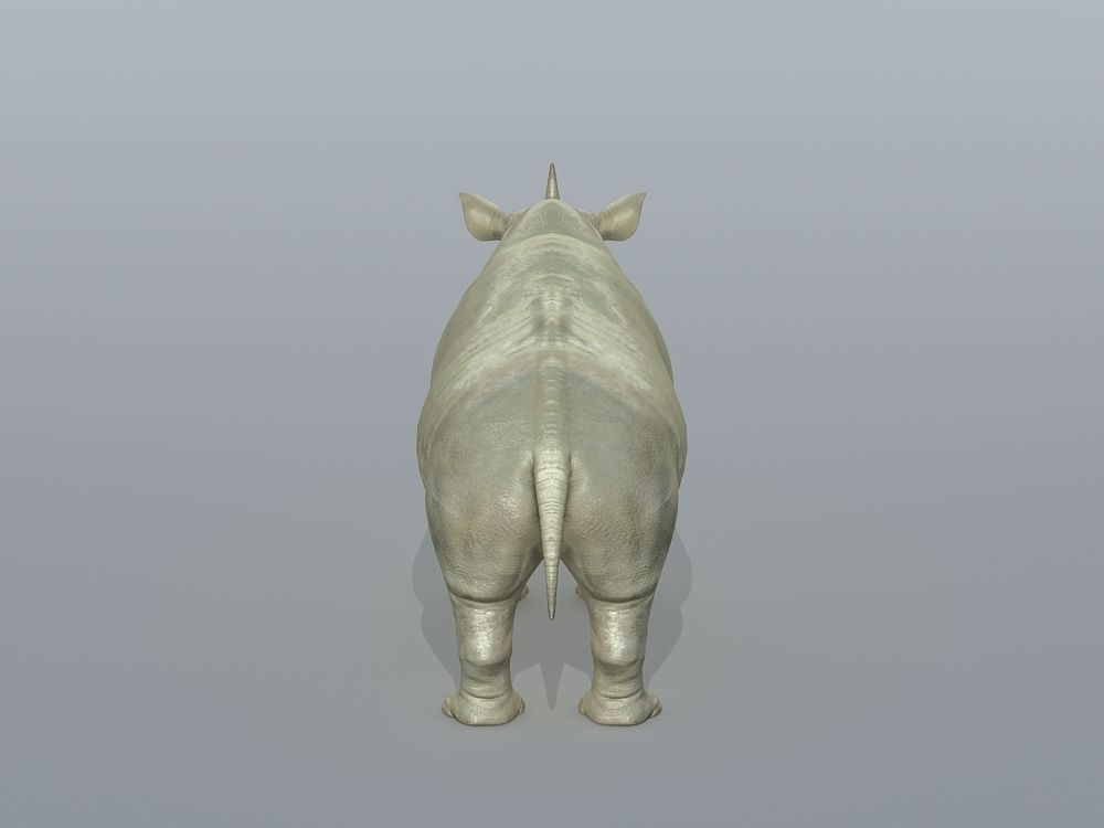 Rhinoceros Low-poly 3D model_3