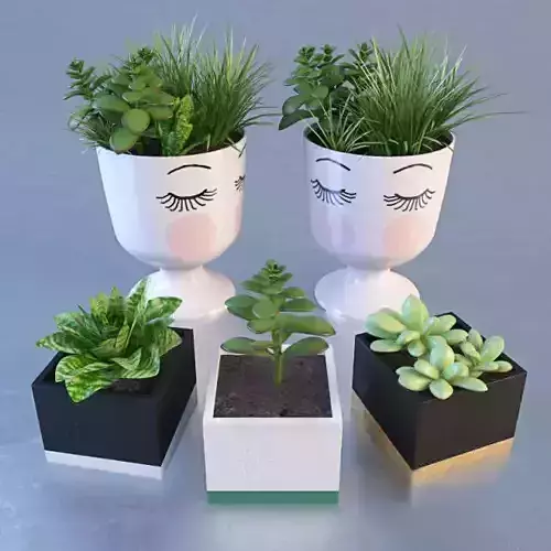 Eyes pot 3D model