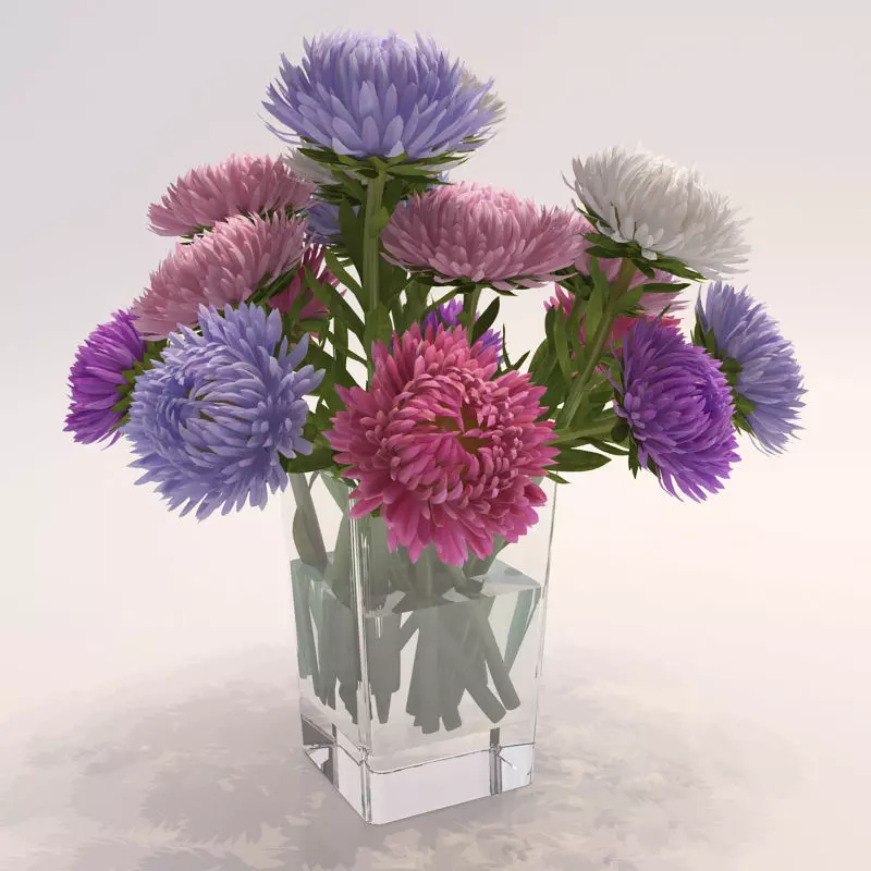 Asters chrysanthemums in glass vase 3D model