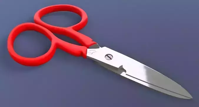 Scissors pair of