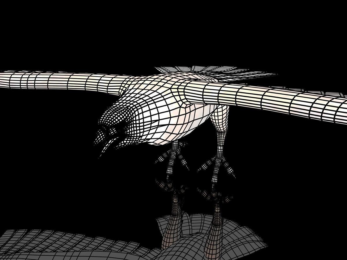 Eagle Full Rigged Low-poly 3D model_11