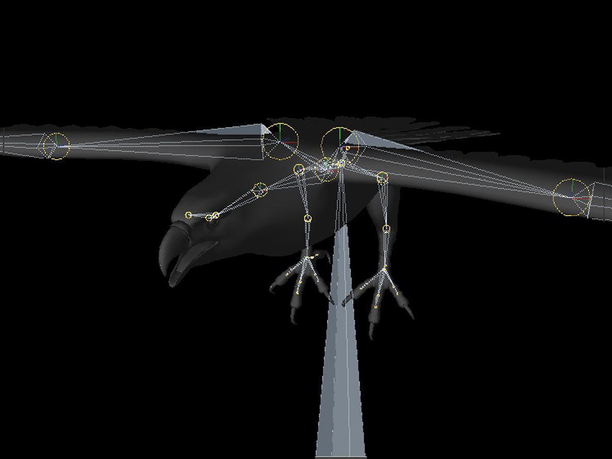 Eagle Full Rigged Low-poly 3D model_13