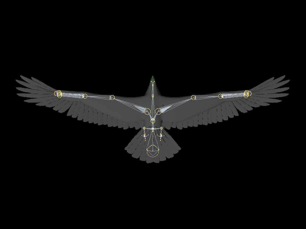 Eagle Full Rigged Low-poly 3D model_8