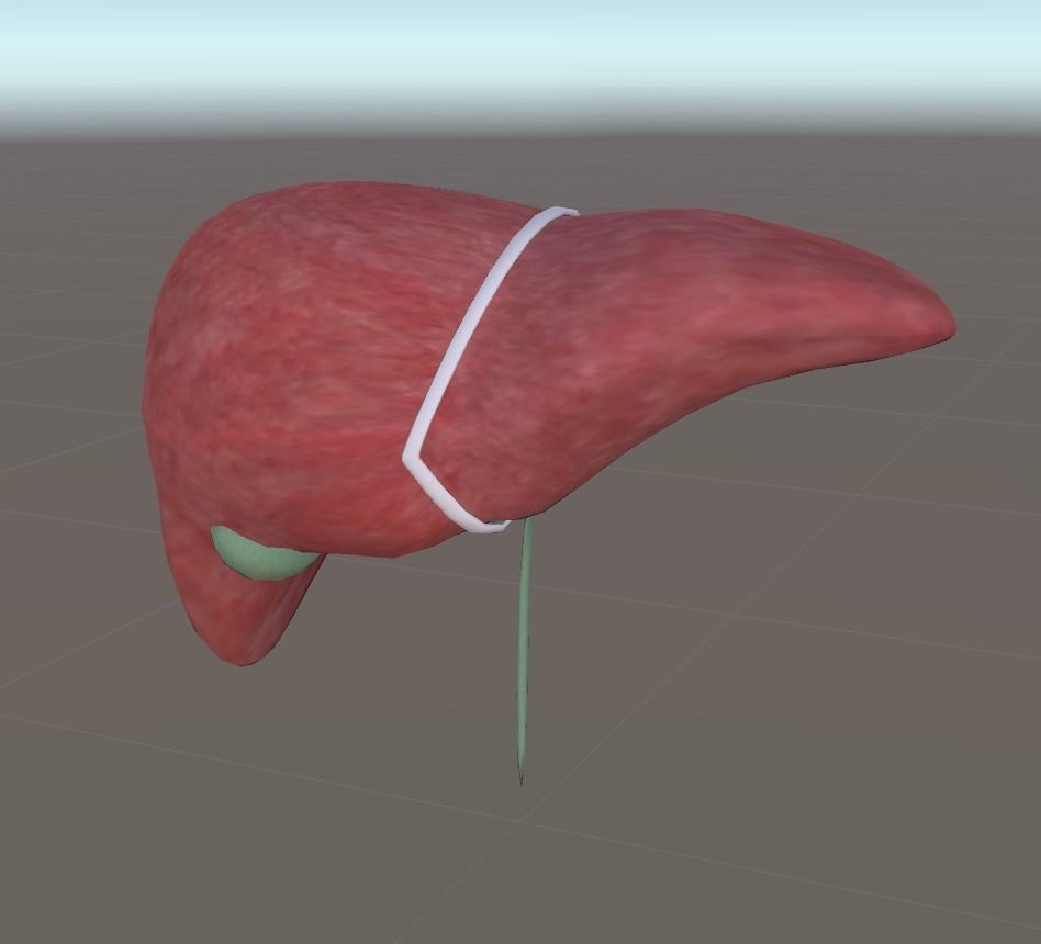 3D Organ Pack Low-poly 3D model_11