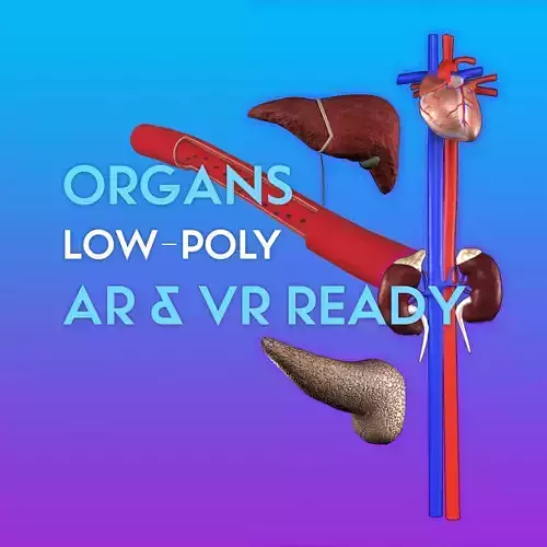 3D Organ Pack
