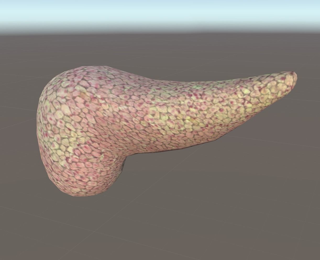 3D Organ Pack Low-poly 3D model_14