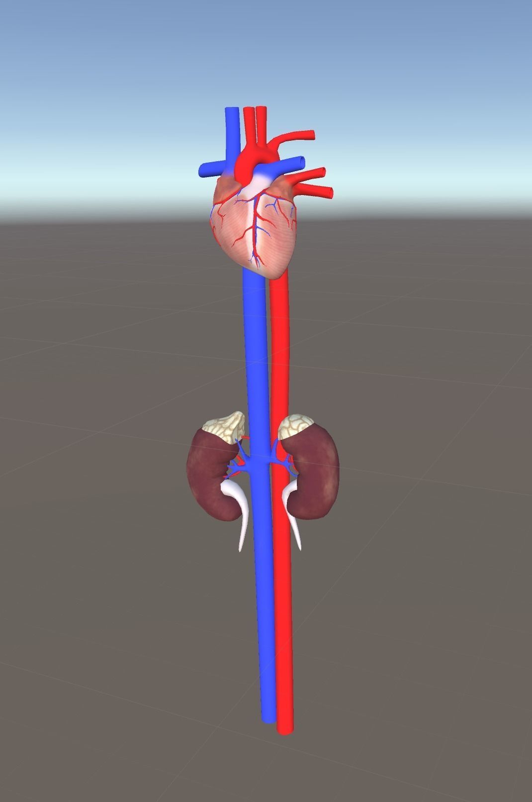 3D Organ Pack Low-poly 3D model_8