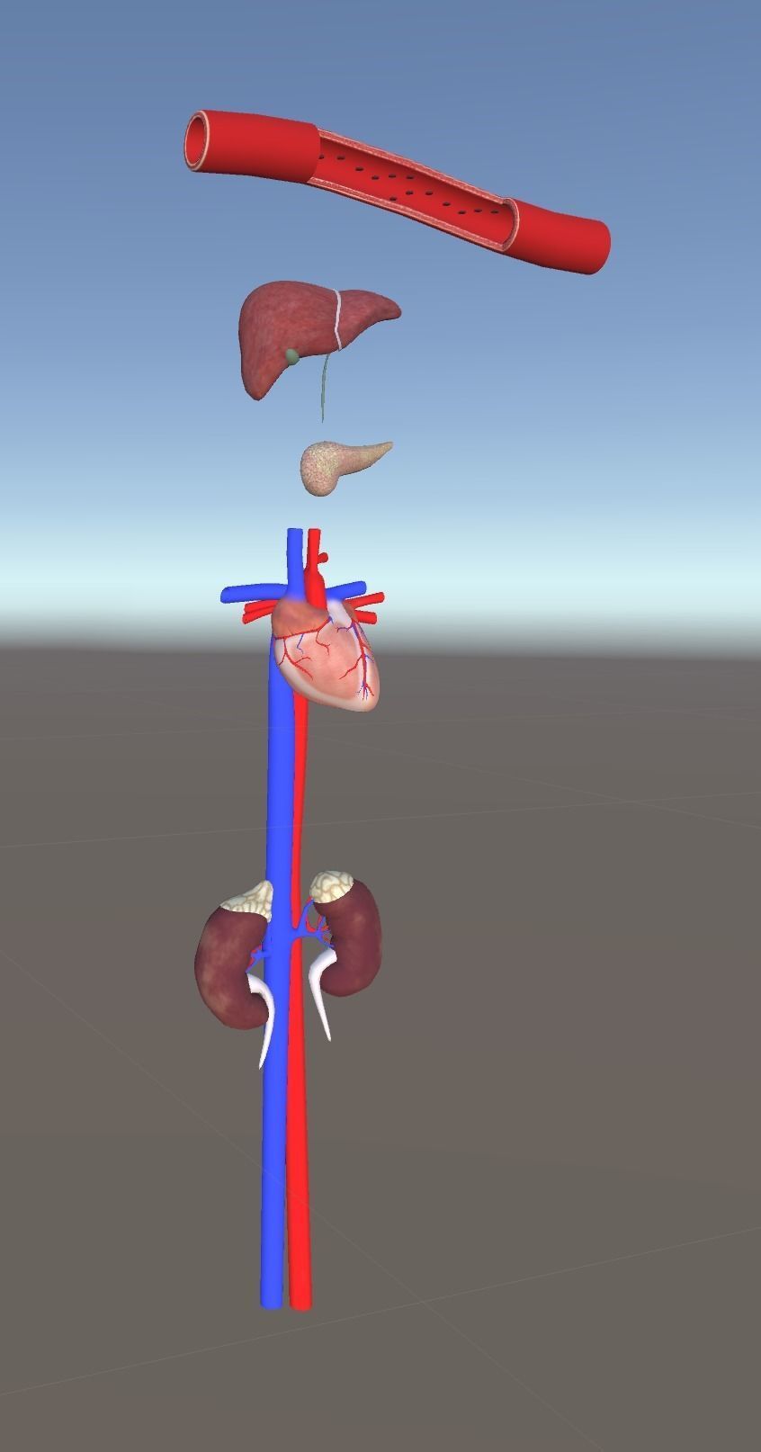 3D Organ Pack Low-poly 3D model_1