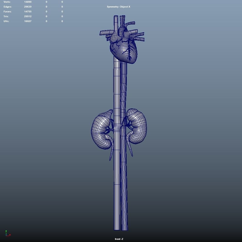 3D Organ Pack Low-poly 3D model_9