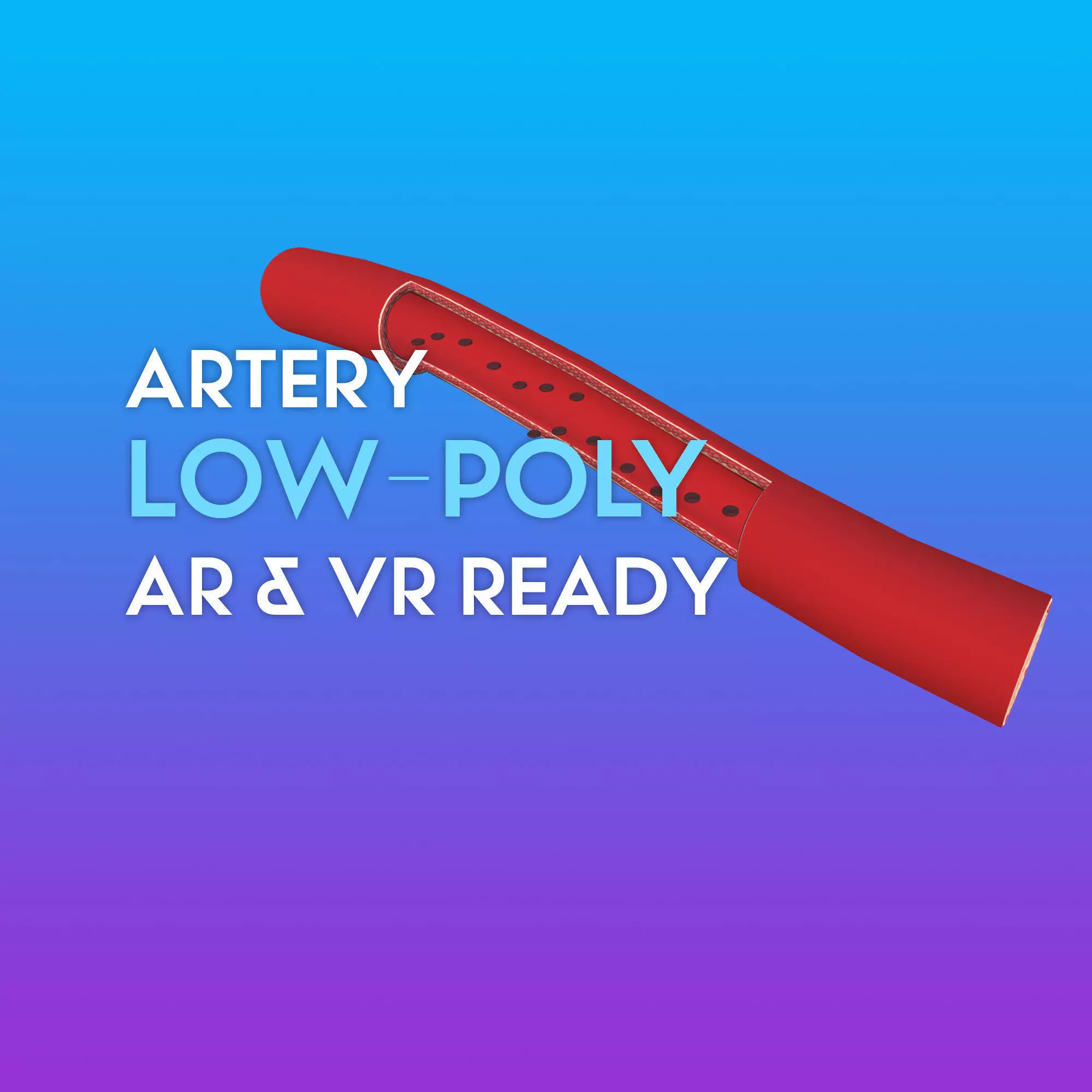 3D Artery W Red Blood Cells Low-poly 3D model