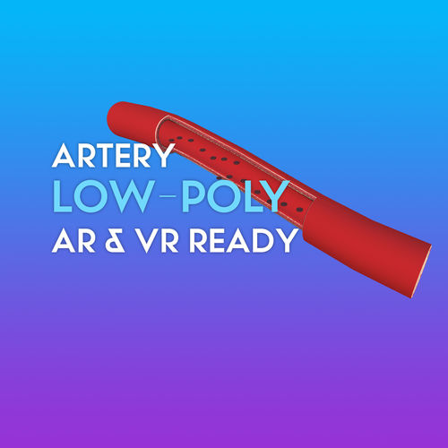 3D Artery W Red Blood Cells Low-poly 3D model